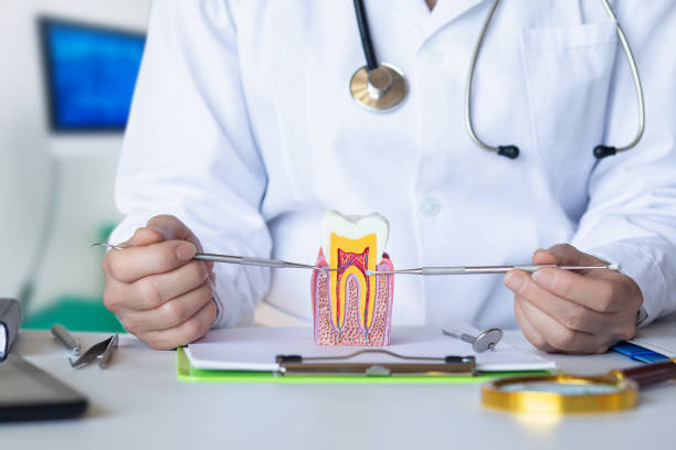 Best Orthodontic Emergency Dentist in Vista Santa Rosa, CA